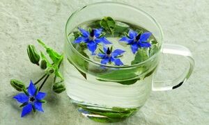 این دمنوش سرشار از ویتامین C است و کلیه‌ها را تقویت می‌کند + روش تهیه