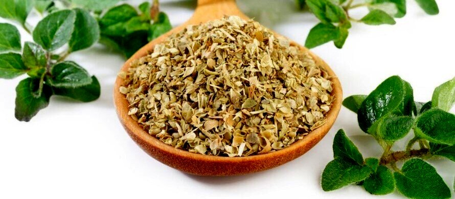معرفی ادویه اورگانو و خواص آن