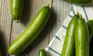 ۵ خوراکی که بهترین ترکیب را با خیار شکل می‌دهند