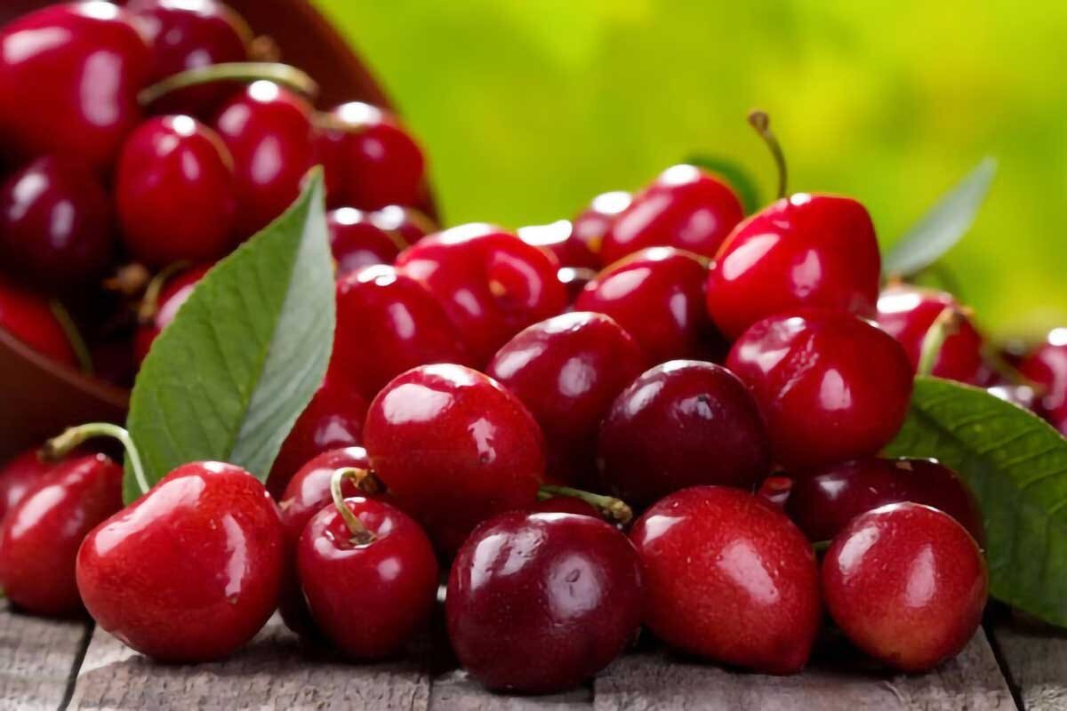 میان‌وعده های ساده با آلبالو ، یاقوت‌ سرخ تابستان