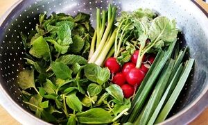 کالری ۱۰۰ گرم سبزی خوردن چقدر است؟ + جدول ارزش غذایی ۱۰۰ گرم سبزی خوردن