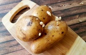 این سیب زمینی‌ها را دور بریزید
