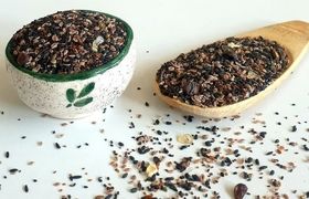 خواص شگفت‌ انگیز چهار تخمه؛ از بهبود سرماخوردگی تا کاهش وزن