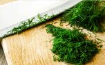 روش خشک کردن شوید بدون تلخی و سیاهی