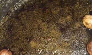 این قرمه سبزی را طبق ذائقه بهرام رادان خواهیم پخت 