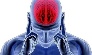 یک رژیم غذایی خاص؛ کلید داشتن مغزی سالم و فعال
