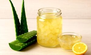 طرز تهیه کمپوت آلوورا و خواص آن