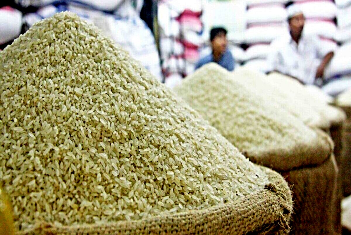 اگر در خرید انواع برنج ایرانی سررشته ندارید حتما این مطلب را بخوانید