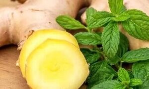 زنجبیل یا نعناع؛ کدام یک برای رفع حالت تهوع بهتر است؟