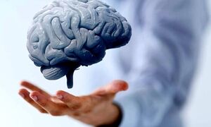 ۵ خوراکی که مغزتان را قوی‌تر و حافظه‌تان را بهتر می‌کند