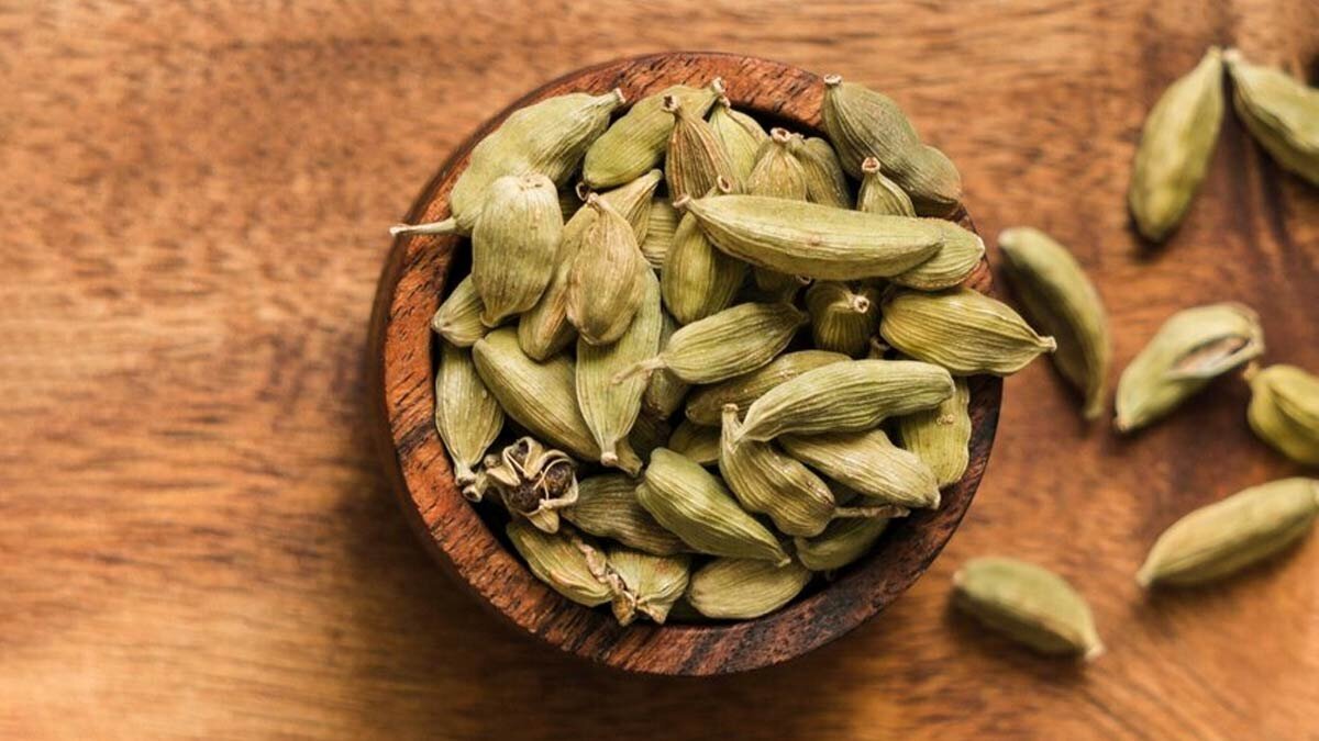گیاه معطر پرخاصیتی که به درمان بسیاری از بیماری‌ها کمک می‌کند