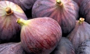 خواص این میوه؛ از کاهش وزن تا جوان‌سازی پوست