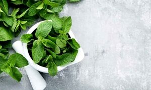 با این دمنوش نفخ شکم نابود و تنفستان خوشبو می‌شود