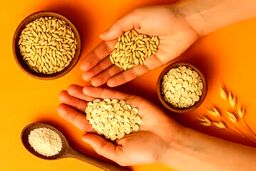 برنج دوست دارید؟ این‌بار جو را امتحان کنید!